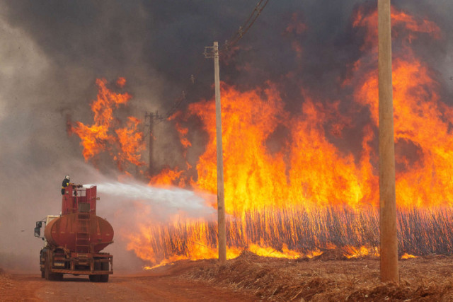 Photo of Wildfire